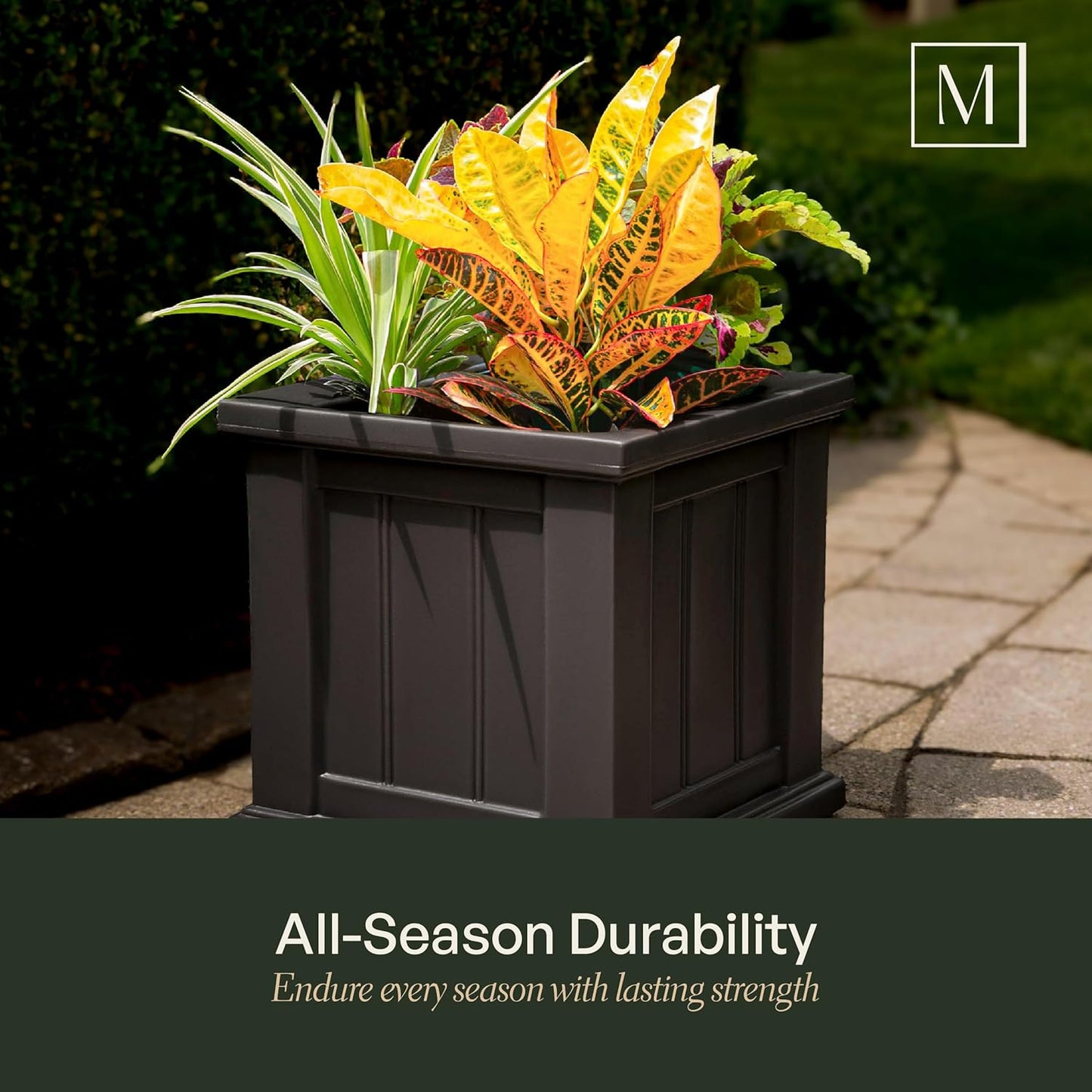 Mayne Cape Cod 14-Inch Square Planter – Self-Watering, Weather-Resistant Planter for Flowers – Durable Outdoor Design for Patio, Porch, or Entryway