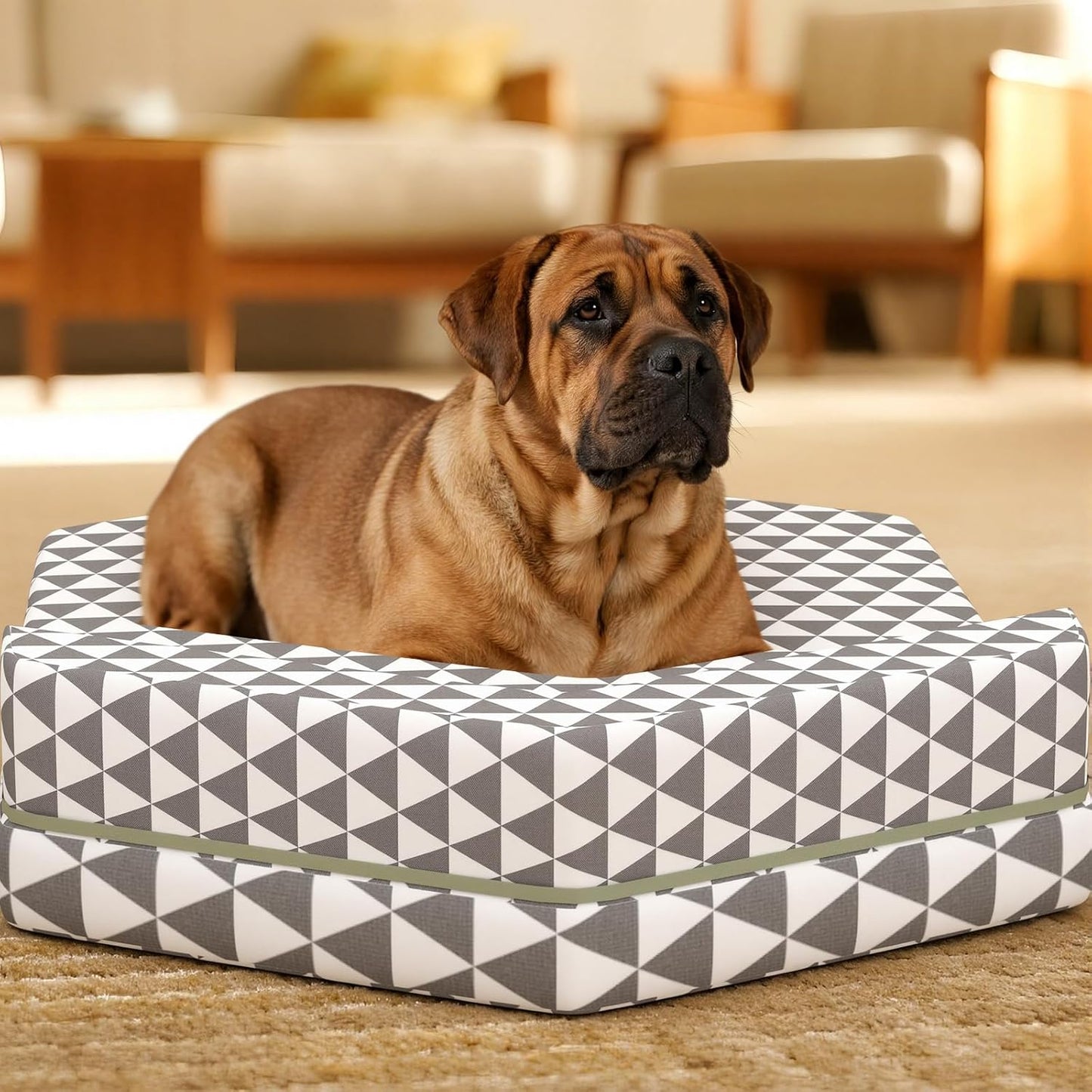 Orthopedic Dog Beds forMedium Dogs, Pet Bed with Sides,Removable Bolsters & cleanable Cover，M