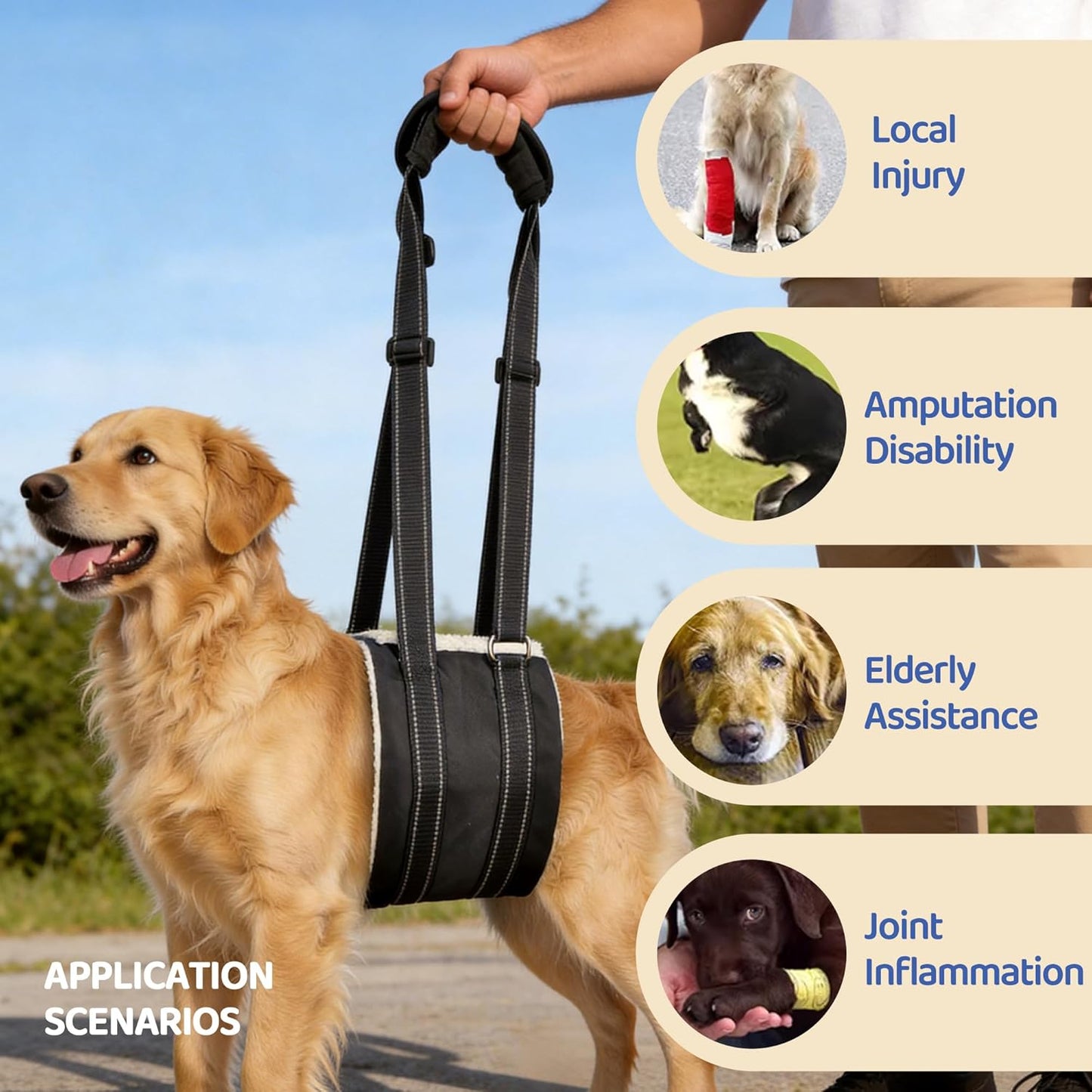 Adjustable Dog Lift Harness, Hind Leg Support Sling for Weak Rear Legs, Soft Lift and Rehab Harness Helps Senior, Injured, Disabled and Post-ACL Surgery Dogs(XL)