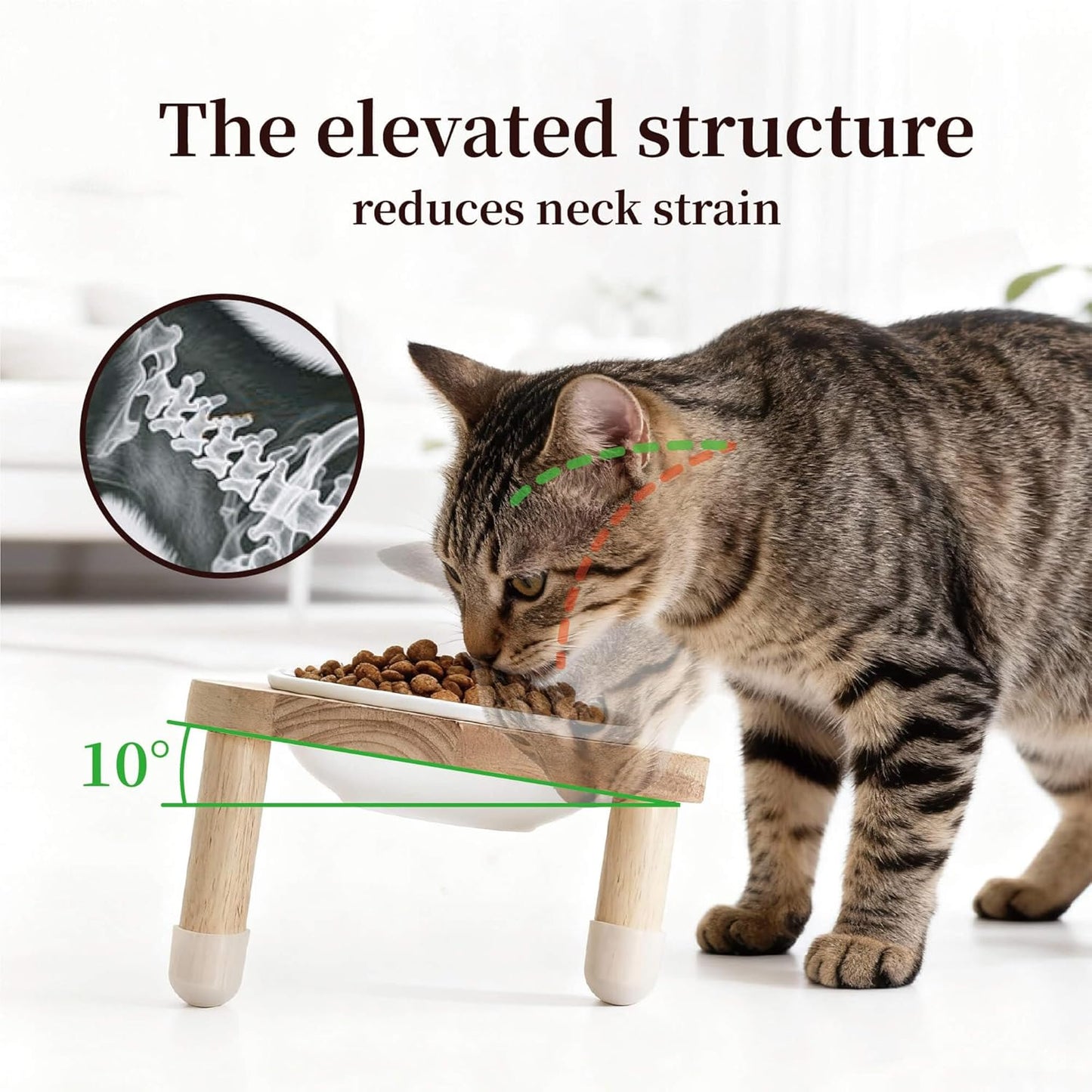 11.8 oz Elevated Ceramic Double Cat Bowl Set - Modern Lead-Free Feeder with Natural Oak Wood Stand (Oak Stand & 2 White Bowls)