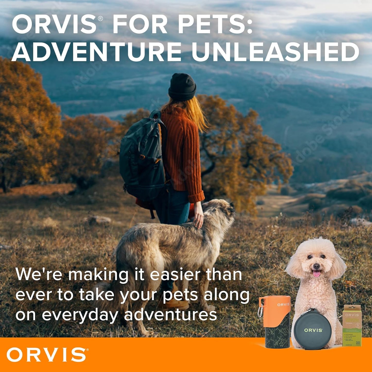 Orvis Pet Travel Collapsible Feeder with Food + Water Dish, 2-in-1, BPA Free, Food-Grade Silicone | Space-Saving Pet Travel Bowls, Nonslip Bottom + Carabiner Clip