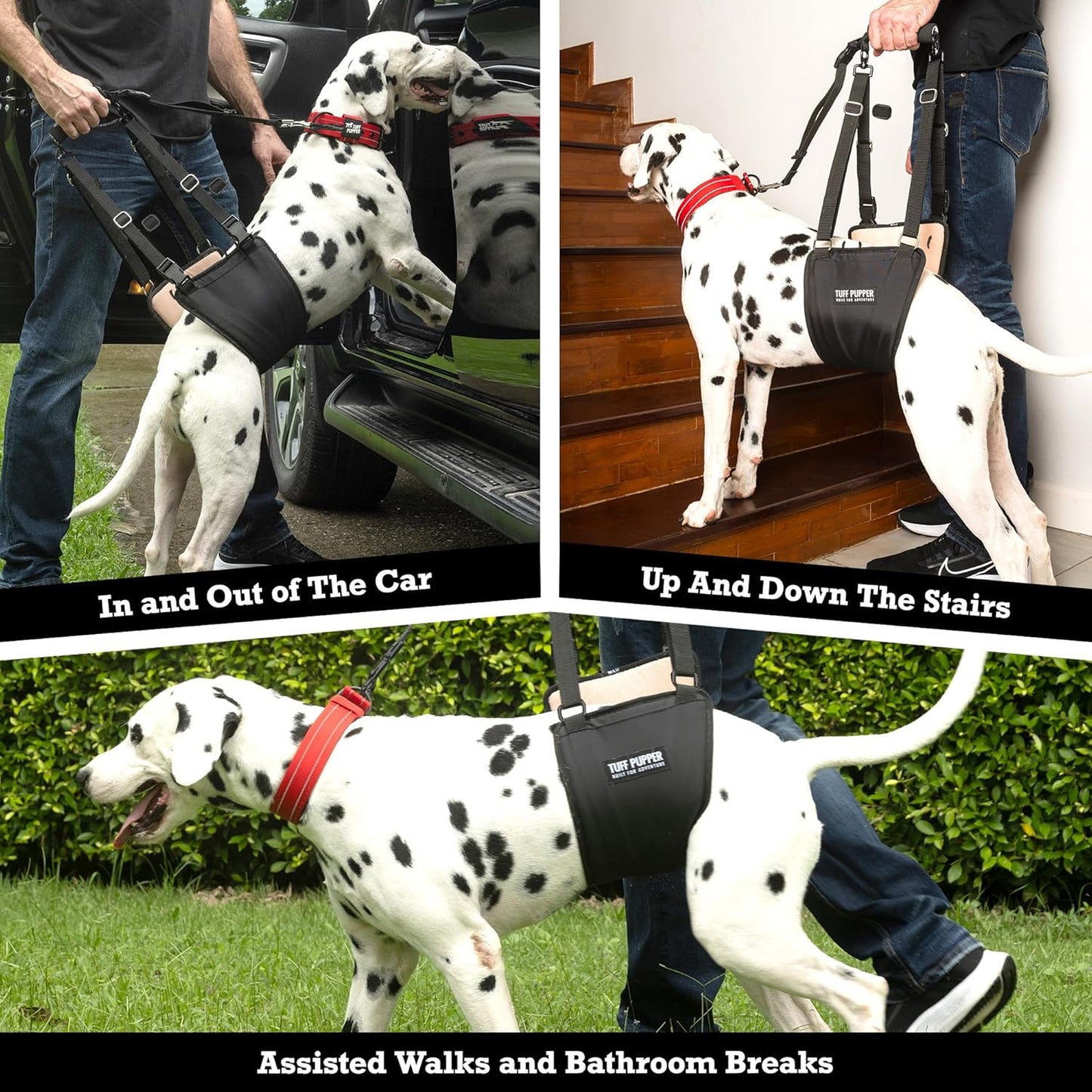 Tuff Pupper Dog Sling Hip Harness | Rear Lift Support for Senior & Injured Dogs | Adjustable Mobility Aid | Strong Padded Handle | Comfortable Design | Hip & Hind Leg Assistance (Tall, Male)