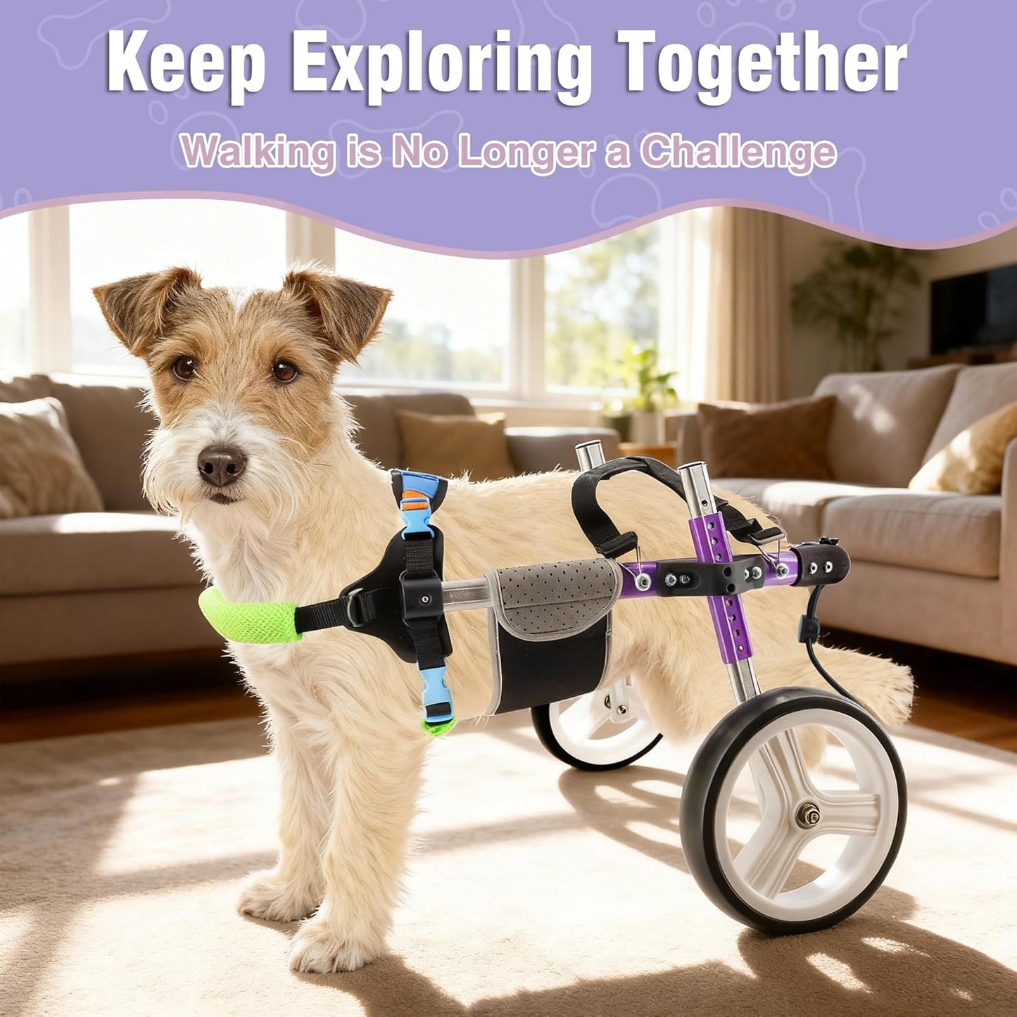 Dog Support Wheelchair for Back Legs Adjustable Dog Mobility Cart for Hind Legs Support Cart for Injured or Paralyzed Dogs