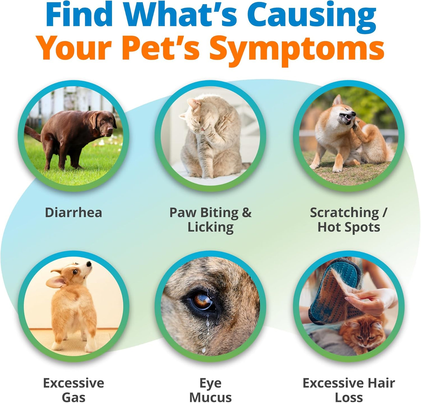 5Strands Pet Food Intolerance Test, at Home Sensitivity Test for Dogs & Cats, 575 Items Tested, Hair Analysis, Accurate for All Ages & Breeds, Pet Gut Health, Results in 4 Days