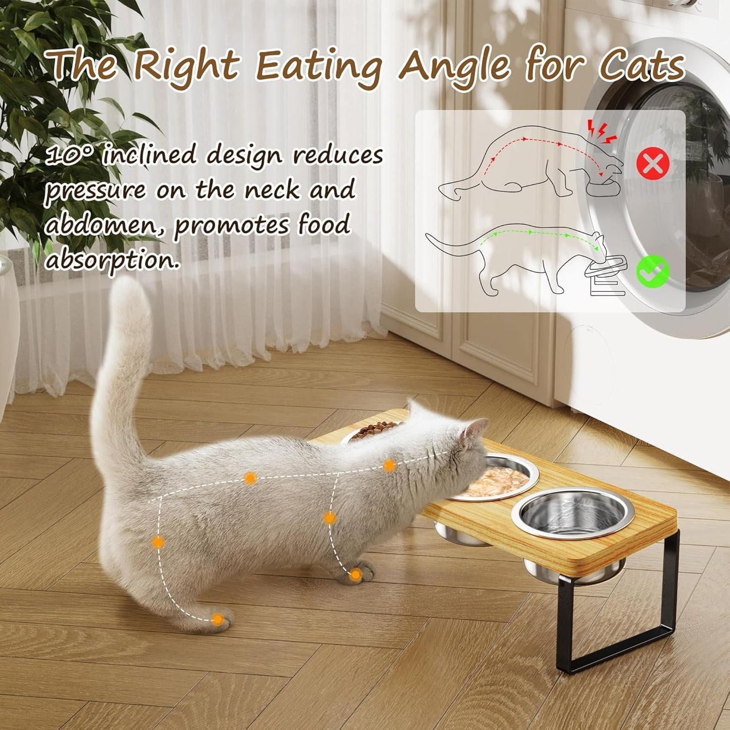 2 Pack Elevated Cat Bowls with 3 Stainless Steel Bowls | 10° Tilted Anti-Vomiting Raised Cat Food Bowl for Small Cats and Puppies Pet Bowl with Stand