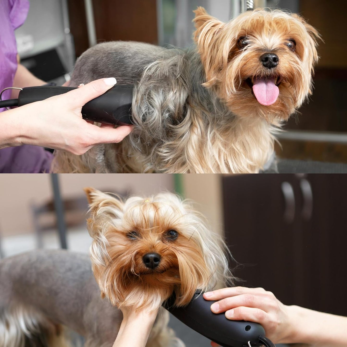 Detachable A Series Wide 4f Blade Dog Grooming Cuts Length 3 3/8" - 9.6mm Japanese High Carbon Steel Dog Grooming Blade Supplies | Detachable Blade Clippers (Compatible A5 Series(B4FW)