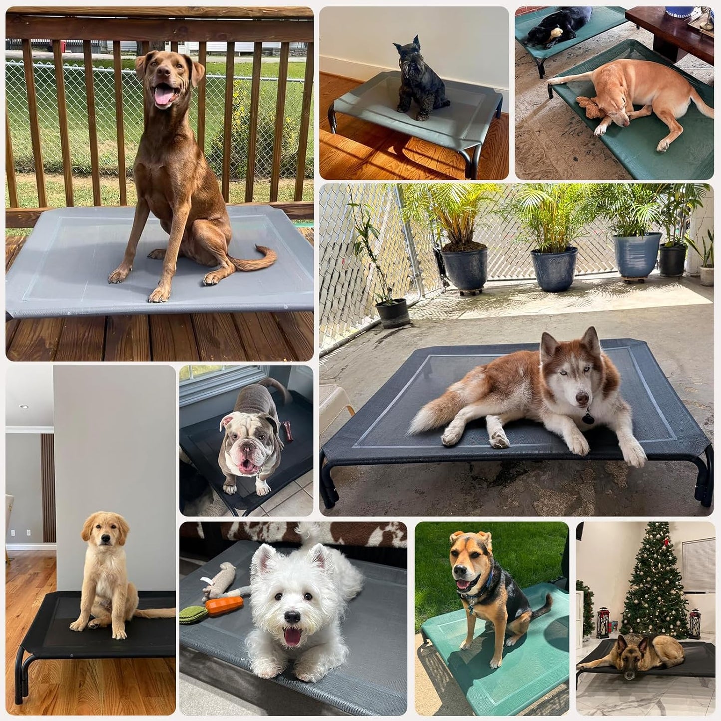 Elevated Dog Bed Raised Outdoor Dog Cot for Large Dogs, Installation Requires No Tools, Frame with Washable Cooling Breathable Mesh Anti-Slip Feet, Indoor Pet Bed, Black, 43.3 Inches