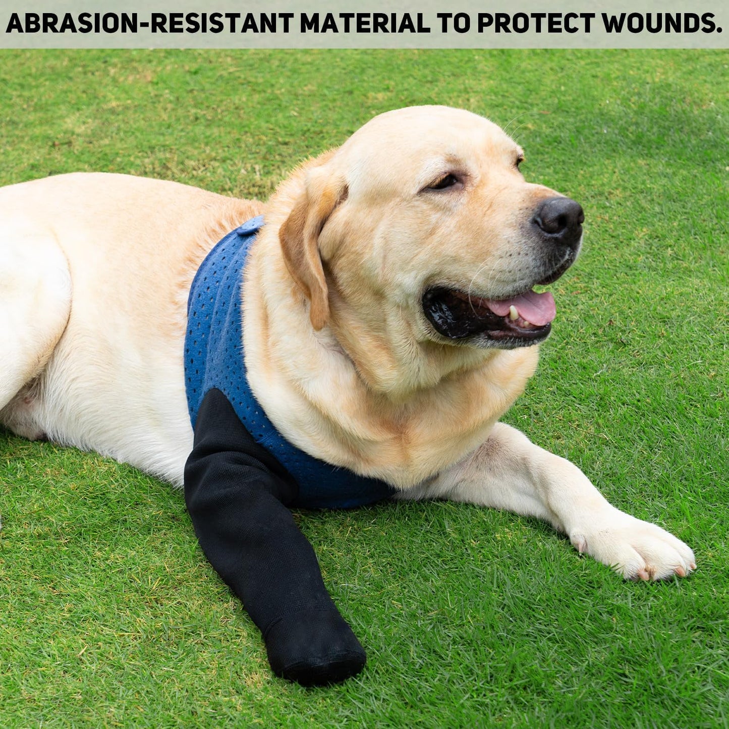 COODEO Dog Socks to Prevent Licking Paws, Healing Boots & Paw Protectors with Non-Slip Bottoms for Wound Protection, Waterproof Sleeve Shoes for Licking（Blue，3XL_Left