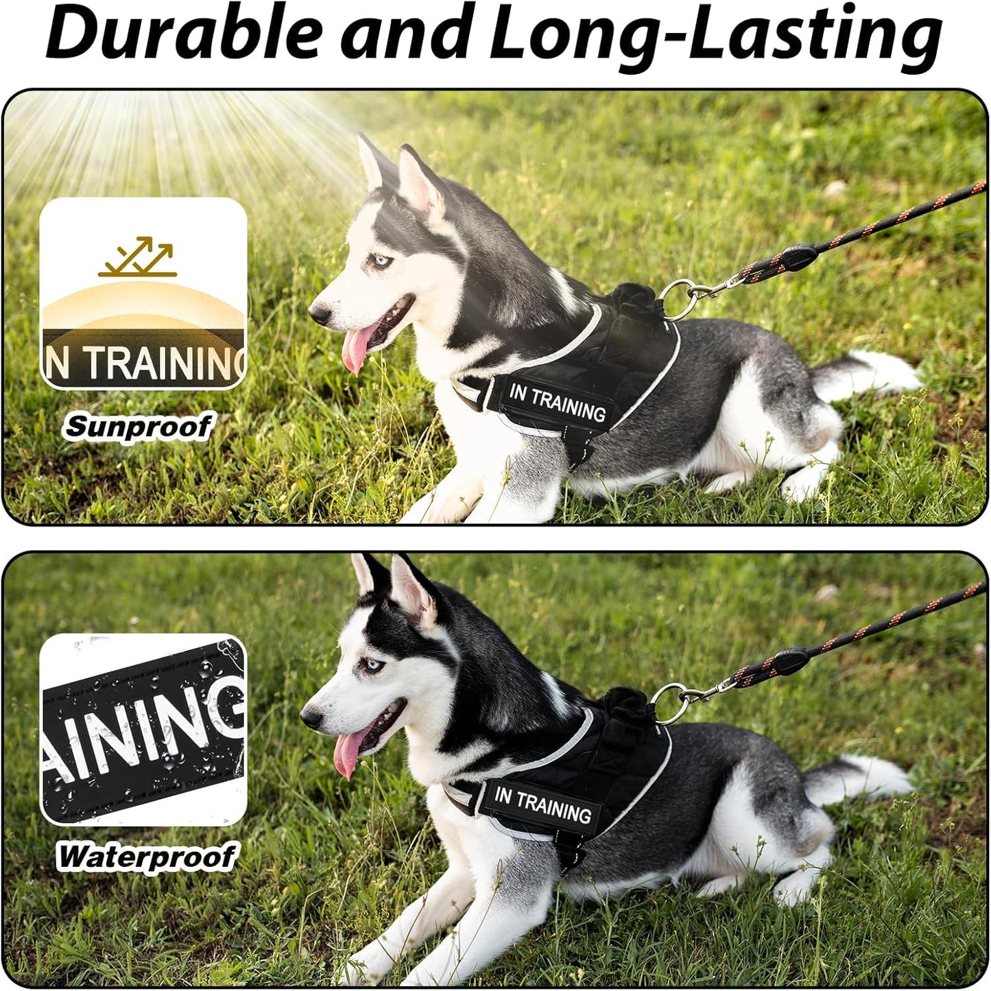 6pcs Service Dog Patch with Hook Backing Removable Vest Patches for Training Dogs Do Not Pet Patch Black Dog Harness Patches for Service Animal Vests Harnesses Collar