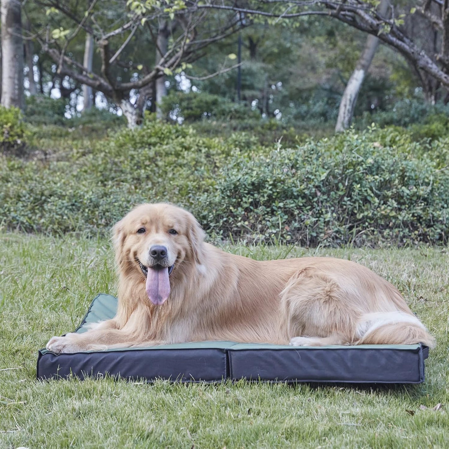 Outdoor Dog Beds for Large Dogs, Waterproof Dog Bed Portable Foldable with Washable Cover, Orthopedic for Outside Indoor, 41inch All Weather to Use