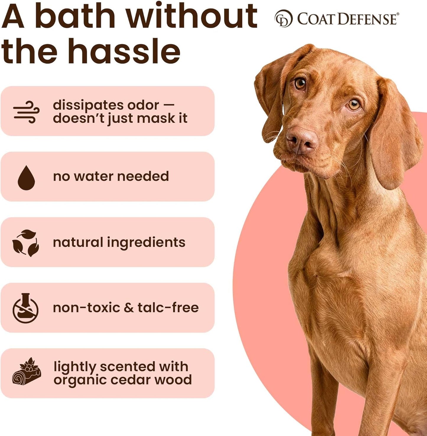 Coat Defense Daily Preventative Powder for Dogs and Cats | Anti-Itch Powder, Odor Control | Talc-Free, Non-Toxic Coat Defense for Dogs | 9 oz Precision Point