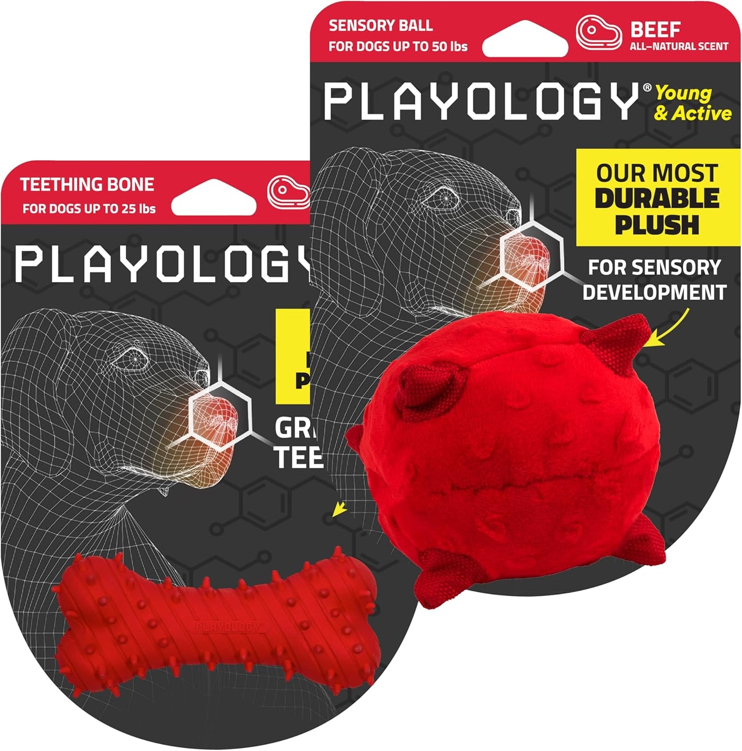 Playology Dog Toys | Puppy Toys for Young & Active Dogs | Beef Scented Teething Bone & Sensory Ball - Easy to Clean and Made from Non Toxic Materials