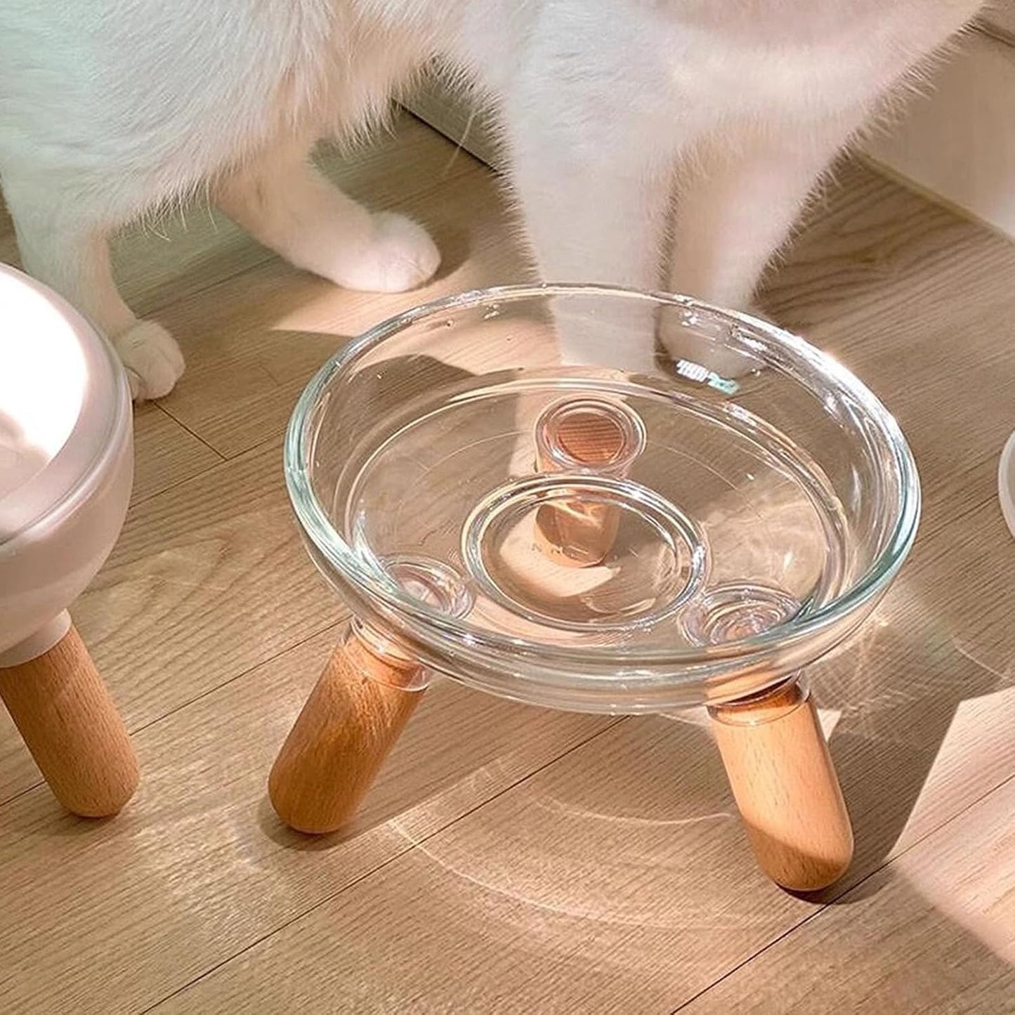 Ergonomic Elevated Dog Bowls with Stable Stand and Bowl for Most Breeds Detachable Bowl Elevated Dog Feeding Station Pet Feeding Bowls
