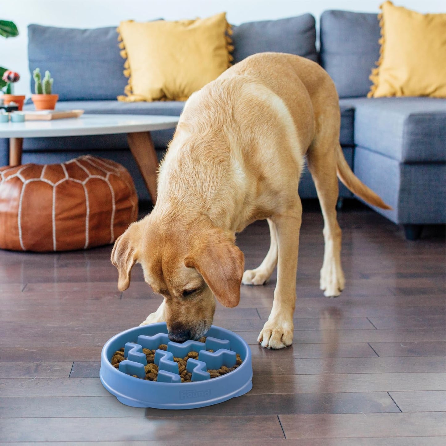 Outward Hound Fun Feeder Slo Bowl – Large 4‑Cup Capacity, Slow Feeding, Medium to Large Dogs, Non‑Slip, Blue, Notch Pattern