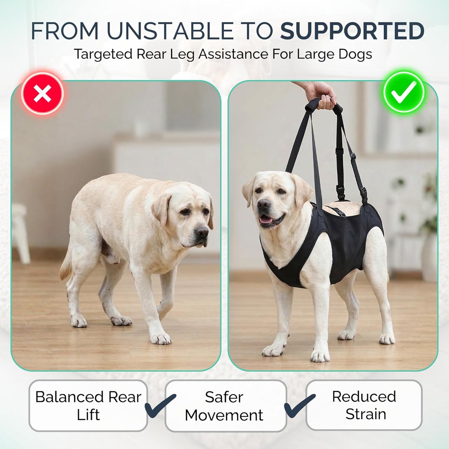 Large Dog Sling Carrier – Dog Sling for Large Dogs Hind Leg Support – 51-83 Lb. Doggie Lift XL Full Body Design with Breathable Mesh and Adjustable Straps for Safe Mobility Assistance