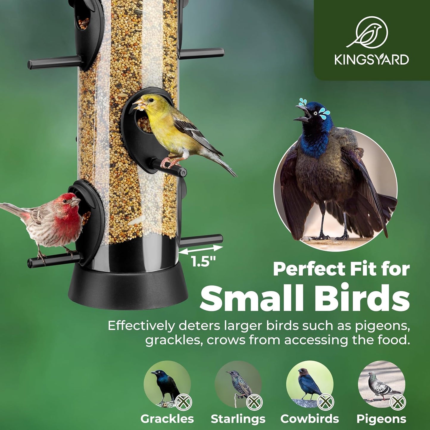 Kingsyard 2 Pack Tube Bird Feeders for Outdoors Hanging, Wild Bird Feeder with 6 Feeding Ports, Easy to Clean & Refill, 2 lbs Seed Capacity, Great for Attracting Finches, Cardinals (Black)