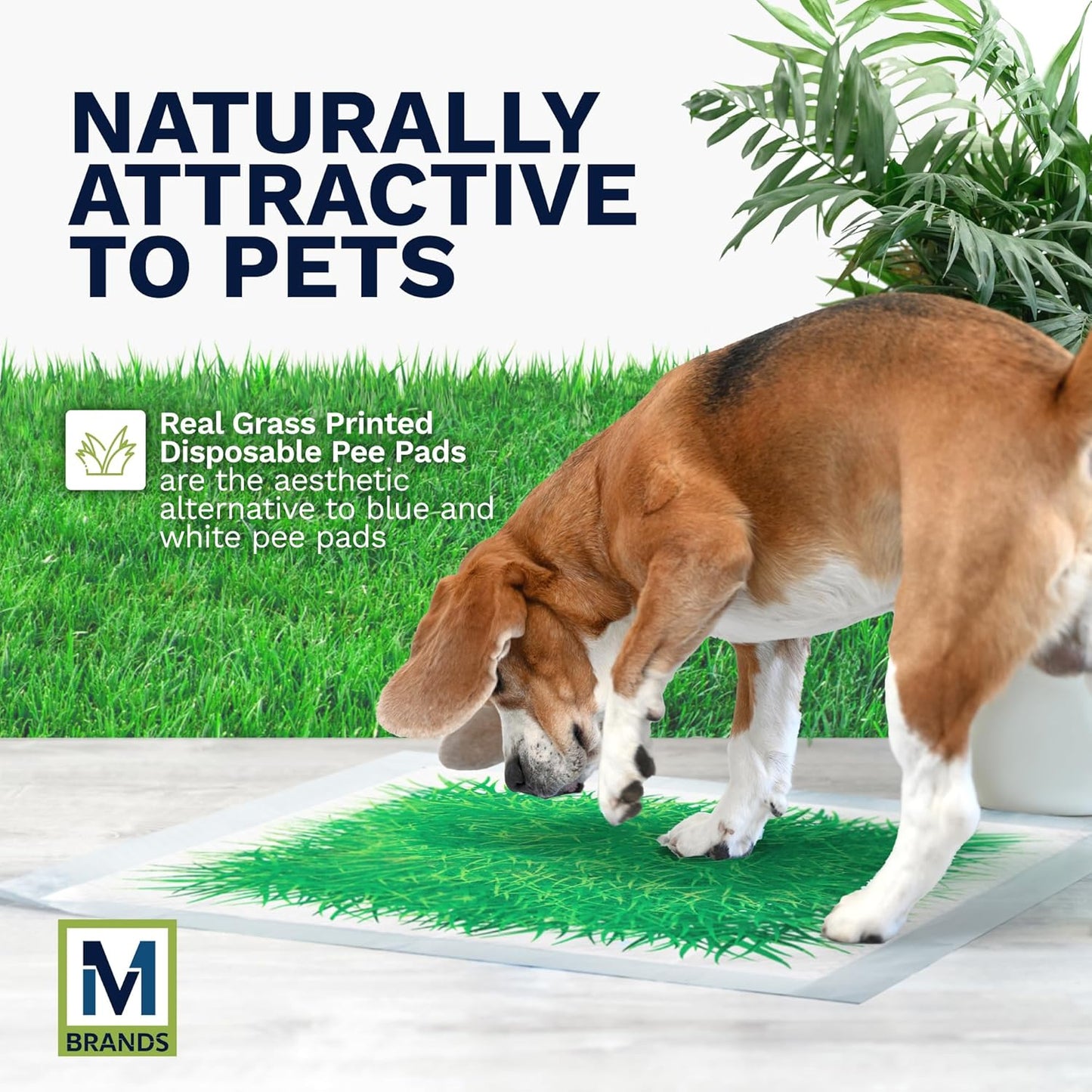 Big Dawg Pet Supplies Absorbent Puppy Pee Pads for Dogs & Cats – 24x24” Disposable Pet Pads – Handy Grab-n-Go Box – Potty Training & Housebreaking Supplies – Color, Grass – 40pc