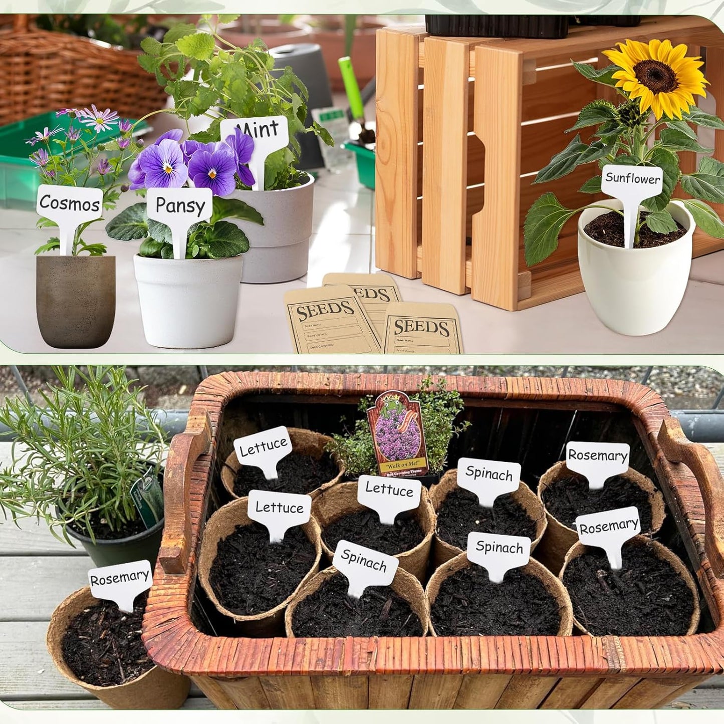 57 Slots Seed Storage Organizer Box with 0.6 oz 1.5 oz Garden Seed Containers, Label Stickers, Plant Label, Envelopes, Zipper Closure Seed Holder Organizer Kit for Vegetable/Flower/Plants Seed Saving