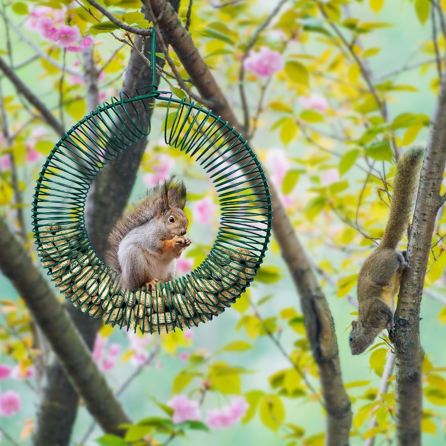 Hugeleaf 2 Pieces Peanut Bird Feeder, Hanging Wreath Feeder Round Metal Whole Wild Bird Feeder with Hanging Hook for Outdoor Birds and Squirrels Feeding, Fat Suet Ball Feeder for Blue Jay, Green