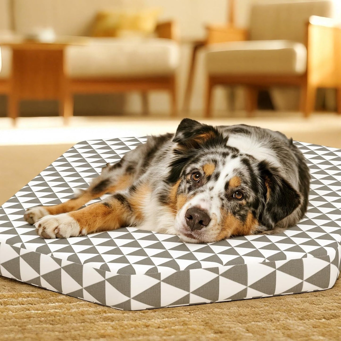 Orthopedic Dog Beds for Medium Dogs, Pet Bed with 6 Sides,Removable & cleanable Cover，M