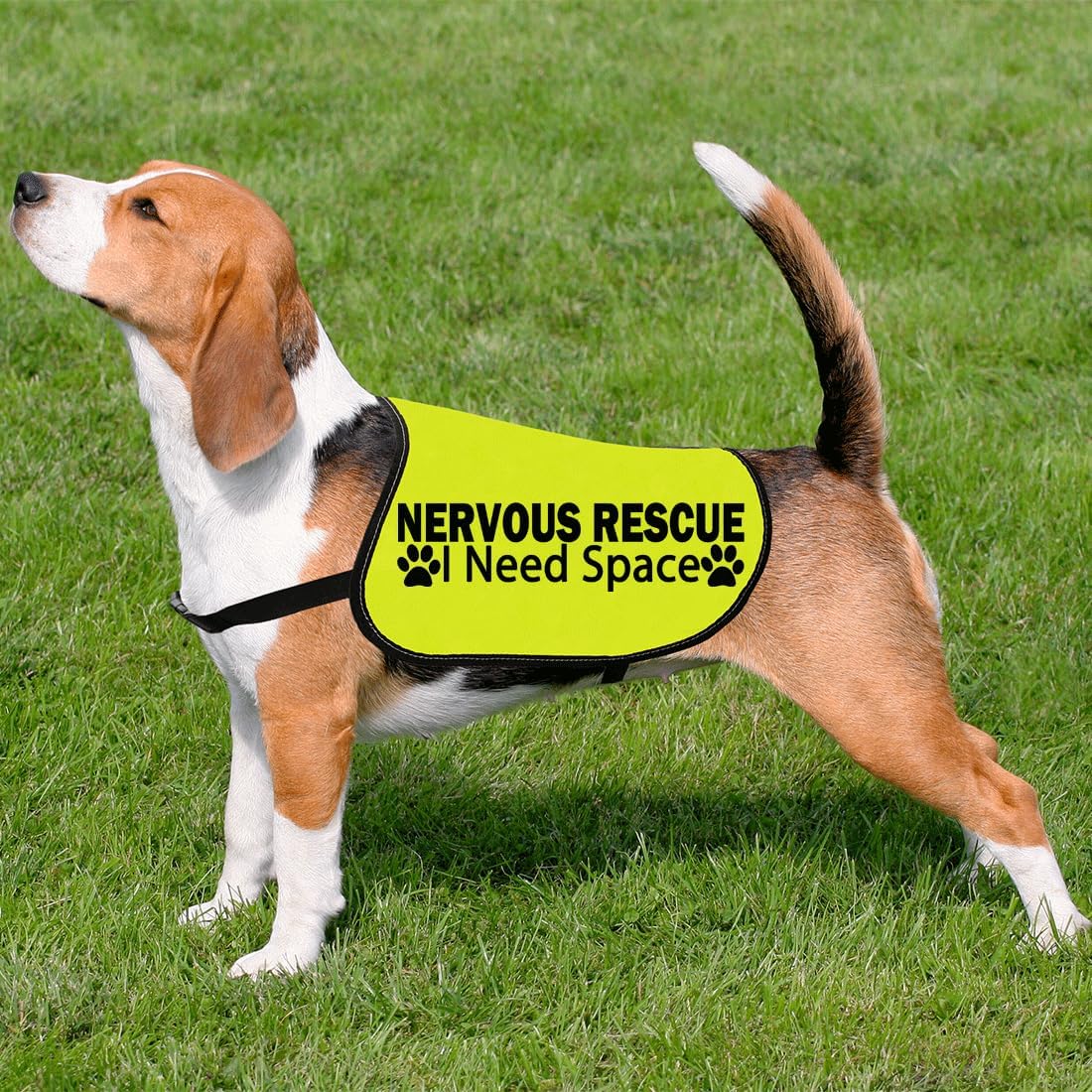 CENWA Nervous Rescue Jacket - Space Dog Walking Slogan Warning Vest (L)