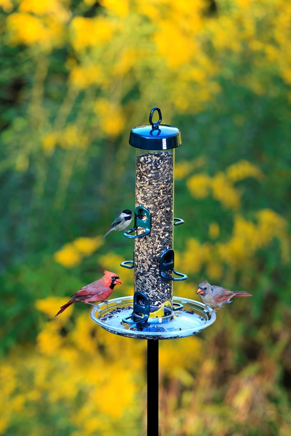 Brome Tube 200 Wild Bird Feeder, Metal, 6 Seed Ports, 3.4 lb Capacity, Extra-Wide Perches, Easy to Fill & Clean, Pole-Mountable, Seed Tray Available