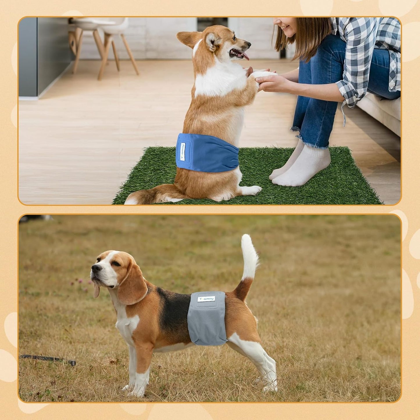 Teamoy Reusable Wrap Diapers for Male Dogs, Washable Puppy Belly Band Pack of 3 (M, 13"-16" Waist, Black+ Gray+ Lake Blue)