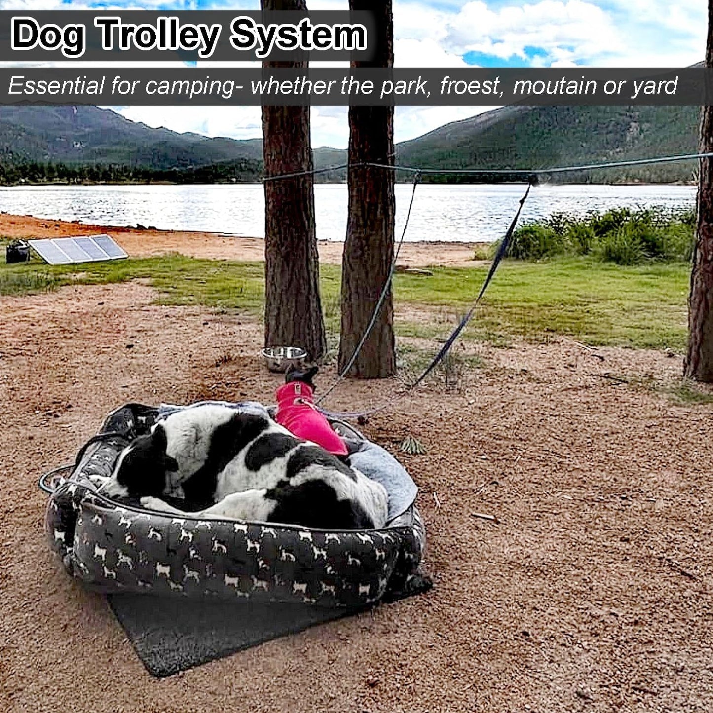 32 FT Dog Trolley System with 8 FT Runner Lead, Tie Out for 2 Dogs, Reflective Nylon Long Tether for Yard Running, Camping, 1/3 Inch Outdoor Rope Leash for Two Dogs, Blue