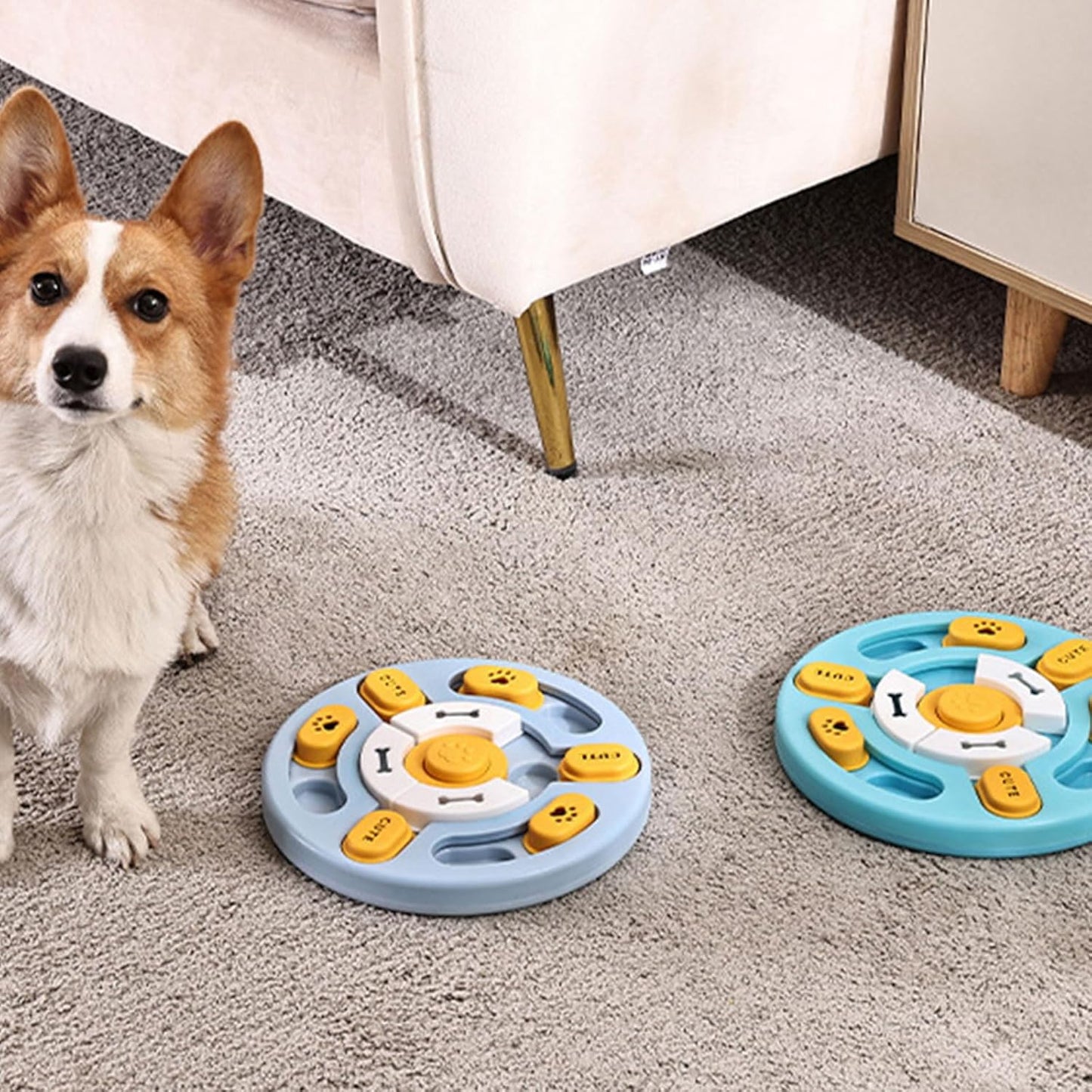 Cats Water Bowl Outdoor Drinking Bowls Dog Light Weight for Puppies Enrichment Feeders Educational Pet Training Bowl