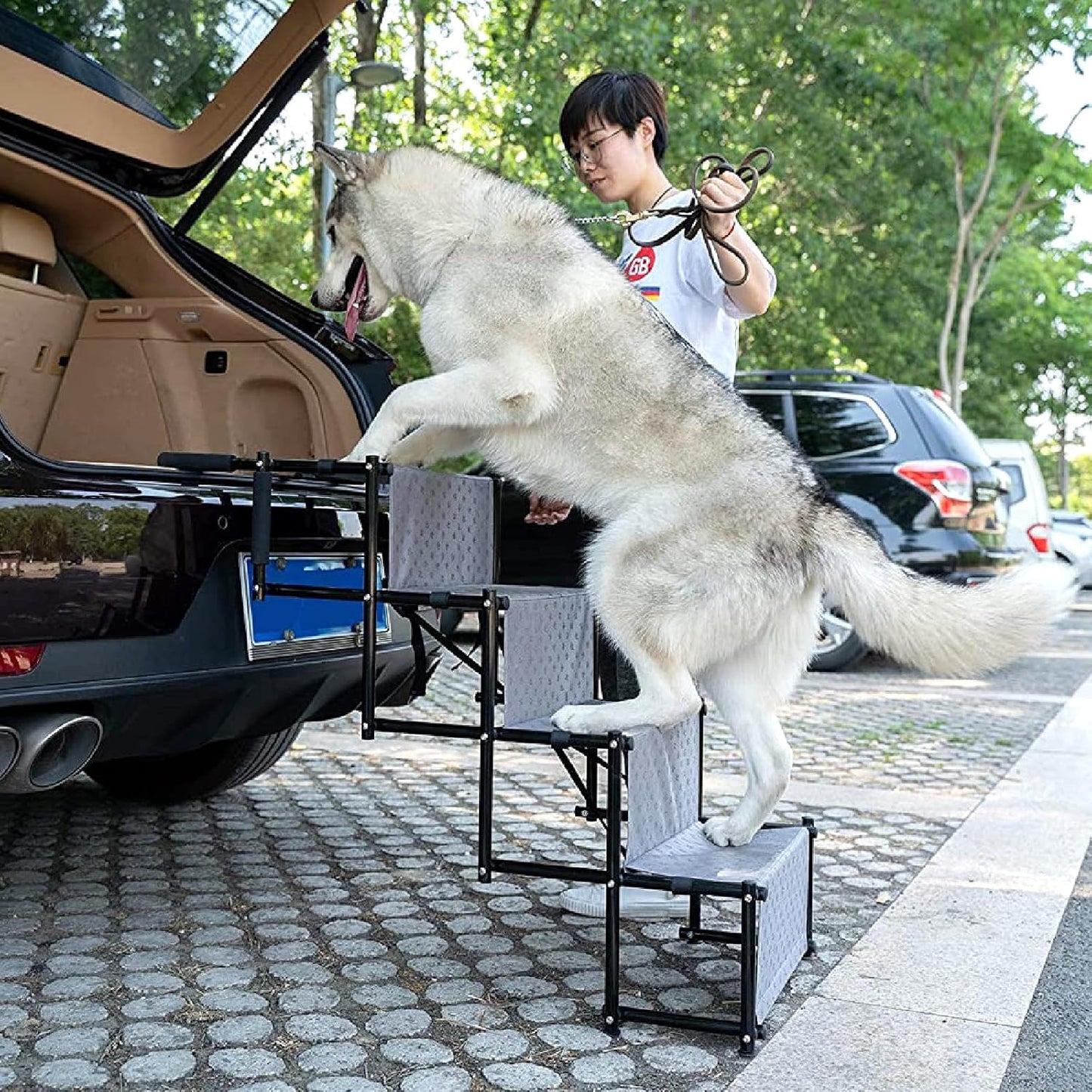 Stairs & Steps for Dogs Premium Quality Lightweight Portable Travelling Adjustable Metal e Folding Ramp Stairs Ideal for Cars Trucks SUV Steps for Medium and Large Do Gray