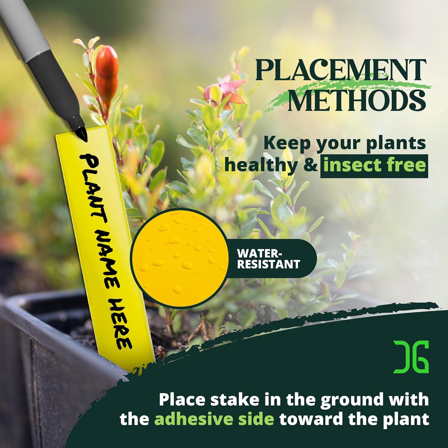 Catchmaster Dual Action Plant Labels 100 PK, Sticky Insect Trap Plant Stakes, for Live Plants Indoor Outdoor, Fruit Fly Trap, Glue Traps for Home, Farm, Garden, Hydroponics & Greenhouse, Pest Control