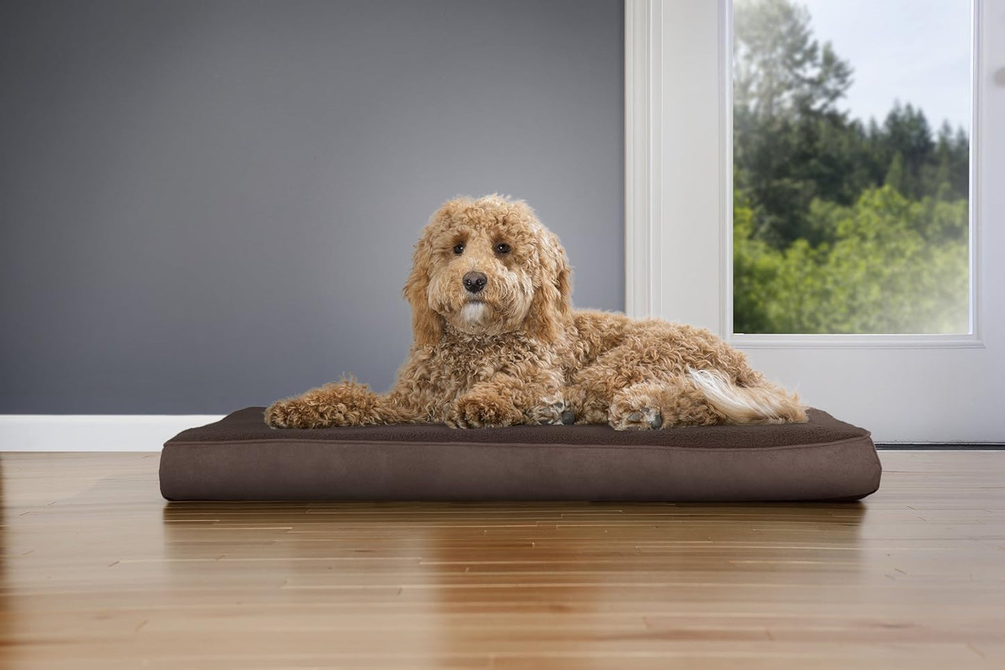 Furhaven Orthopedic Dog Bed for Large/Medium Dogs w/ Removable Washable Cover, For Dogs Up to 55 lbs - Terry & Suede Mattress - Espresso, Large