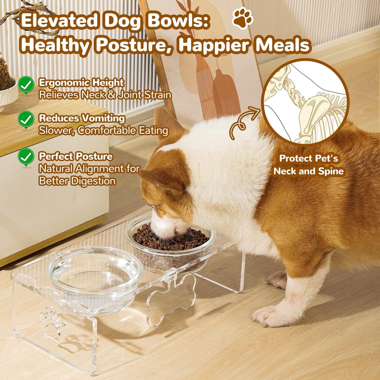 Clear Acrylic Elevated Dog Bowls with Writable Name Signs - 2×32oz Thick Glass & 2×Stainless Steel Bowls, 5.5" Height Raised Pet Feeder Stand, Food and Water Bowl Set for Medium Dogs