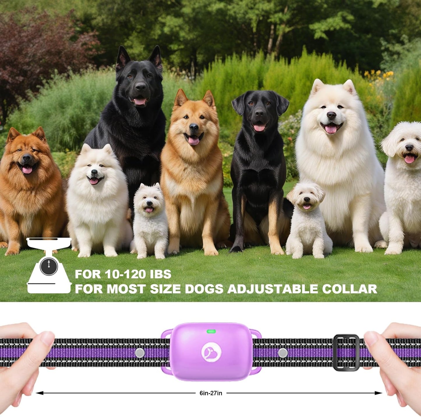 Dog Shock Collar - 2600FT Dog Training Collar with Remote, 3 Modes(Beep/Vibration/Shock), Security Lock, IP68 Waterproof Rechargeable E-Collar for 10-120lbs All Breeds (Purple)