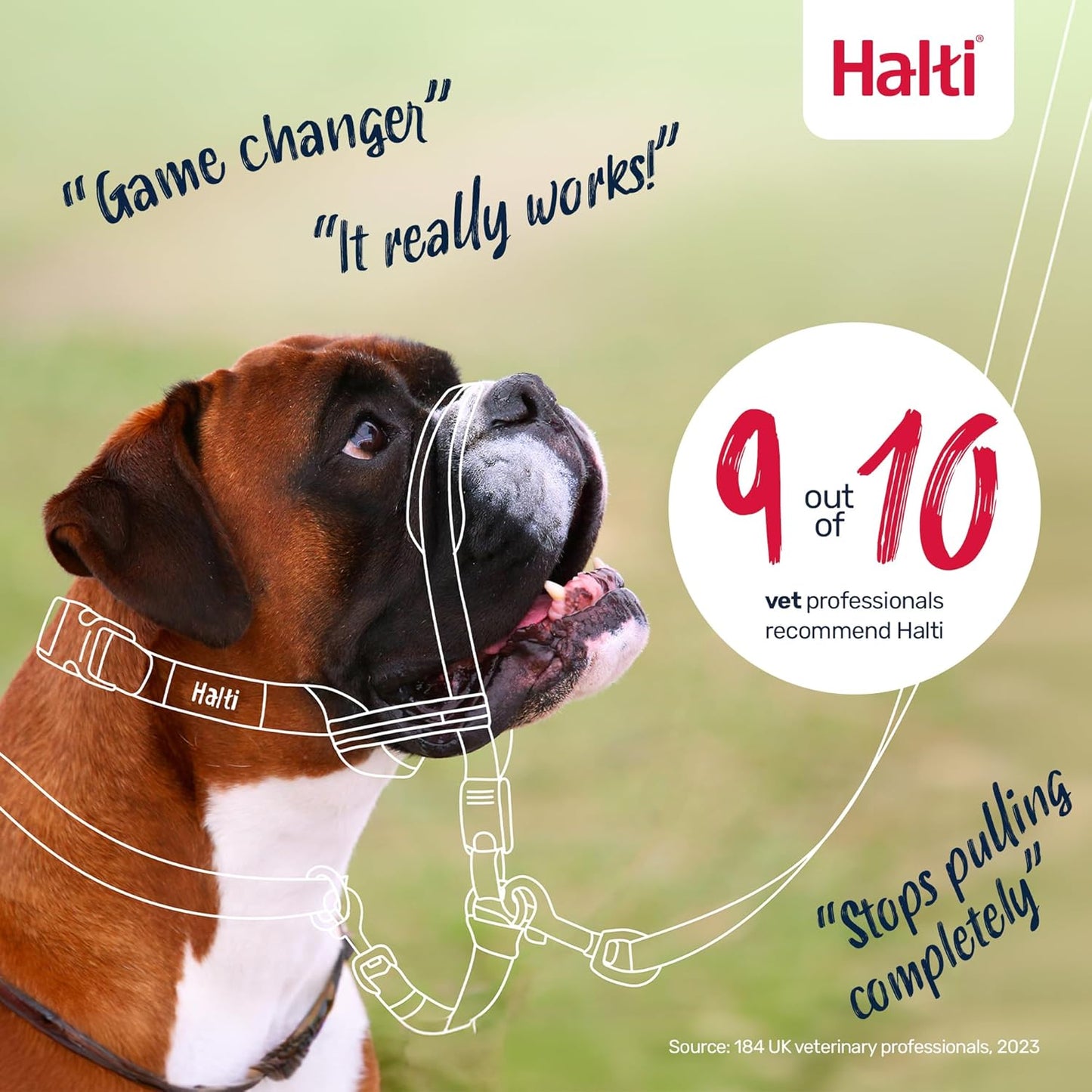 Halti Optifit Headcollar - Stop Your Dog Pulling on the Leash. Adjustable, Reflective and Lightweight, with Padded Nose Band. Dog Training Anti-Pull Collar for Medium Dogs (Size Medium)