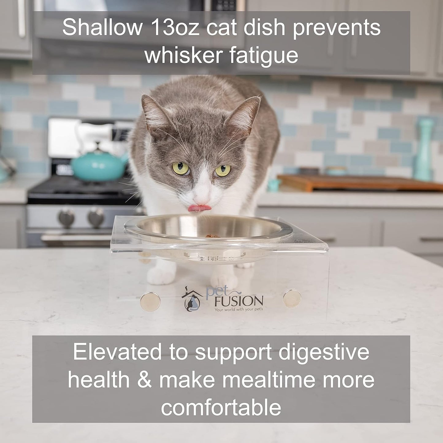 PetFusion Elevated Dog Bowls, Cat Bowls Innovative Raised Pet Feeder