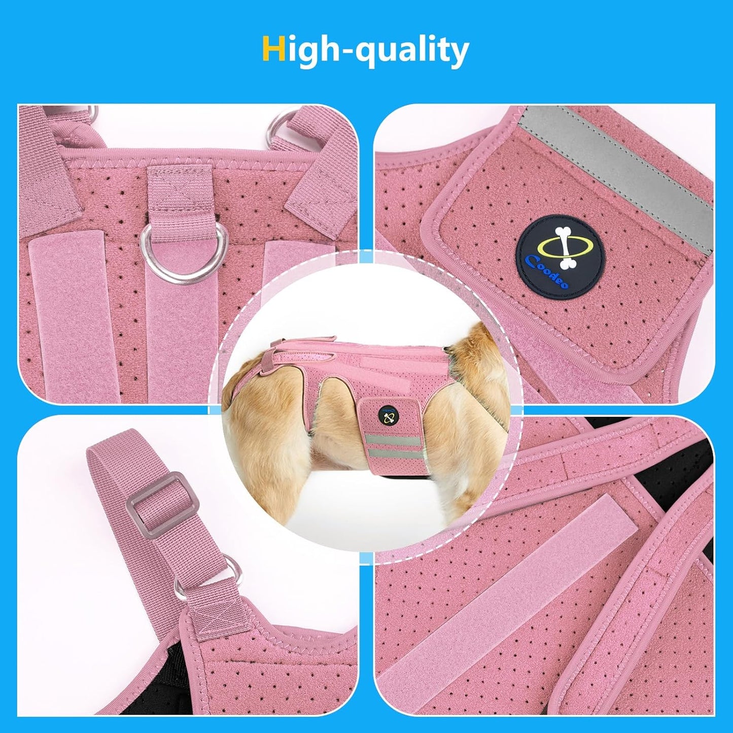 Coodeo Dog Back Brace for Dogs Arthritis, Pet Back Bracer for IVDD, Back Protector Helps Pain Relief, Surgical Recovery and Rehabilitation, Dogs Back Disease Prevention. (Pink,Medium)