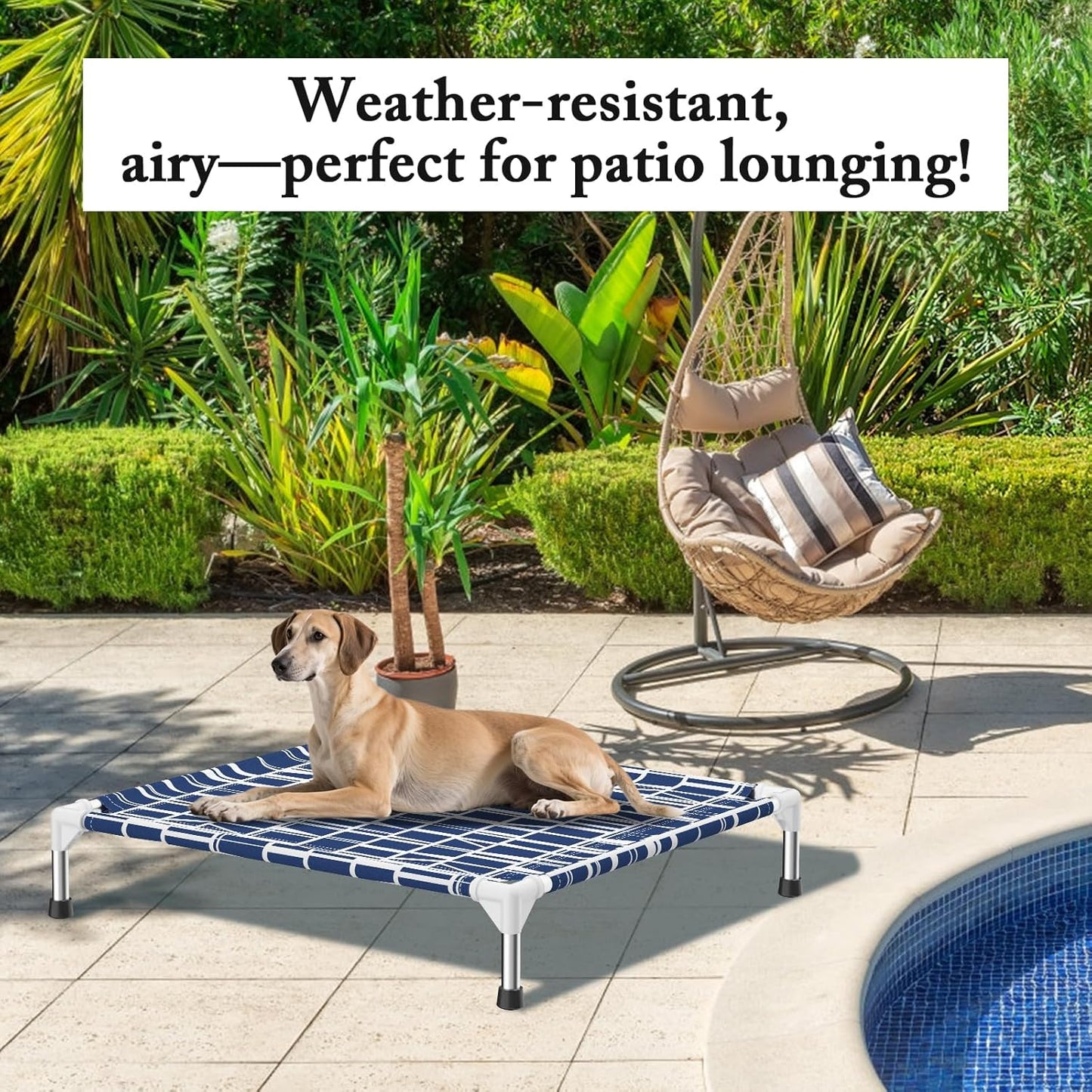 Elevated Dog Bed - Soft Comfortable Fabric, Easy to Clean, Stainless Steel Frame, Raised Design for Air Circulation, Durable Pet Cot for Medium Dogs, Breathable & Stable Pet Bed