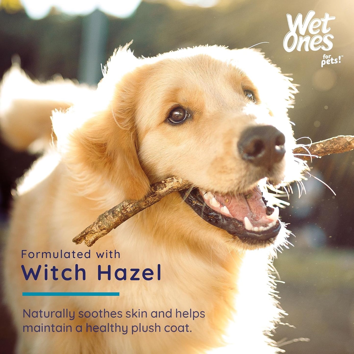 Wet Ones for Pets Hypoallergenic Face Cleansing Pads for Dogs, Fragrance Free - Small, Disposable Round Dog Face Cleaning Wipes, Extra Gentle, 50 Count