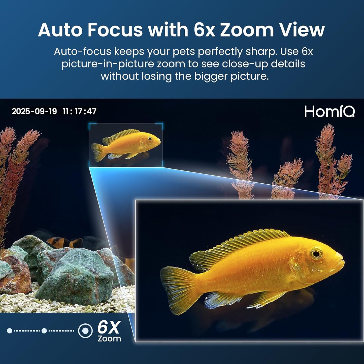 3MP 2K Aquarium & Terrarium Pet Camera.Install &Close-Focus Lens for Fish,Lizard, Reptile Pet and Window Bird Feeder,2.4GHz & 5GHz WiFi,Auto-Focus,24/7 Recording