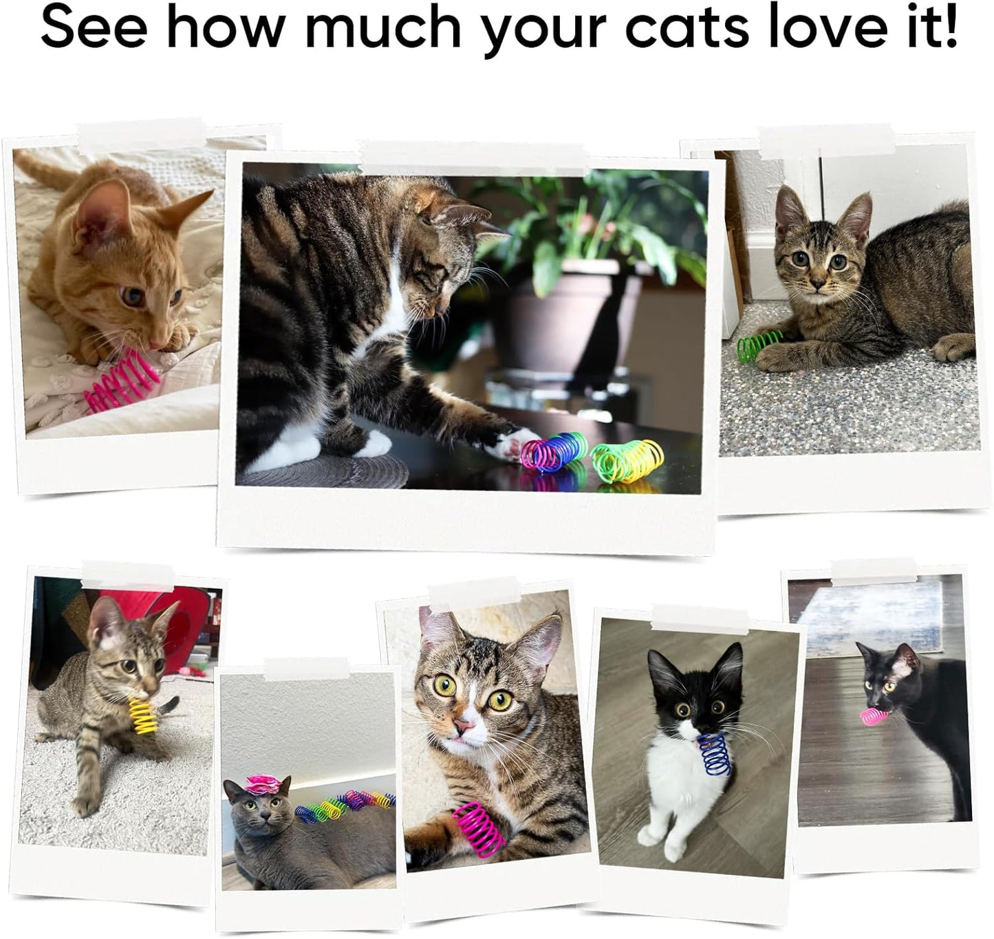 AGYM Cat Toys for Indoor Cats, 30 Pack Interactive Cat Spring Toys, Durable Colorful Plastic Spiral Springs for Kitten Hunt, Swat and Bite, Bulk Cat Toys