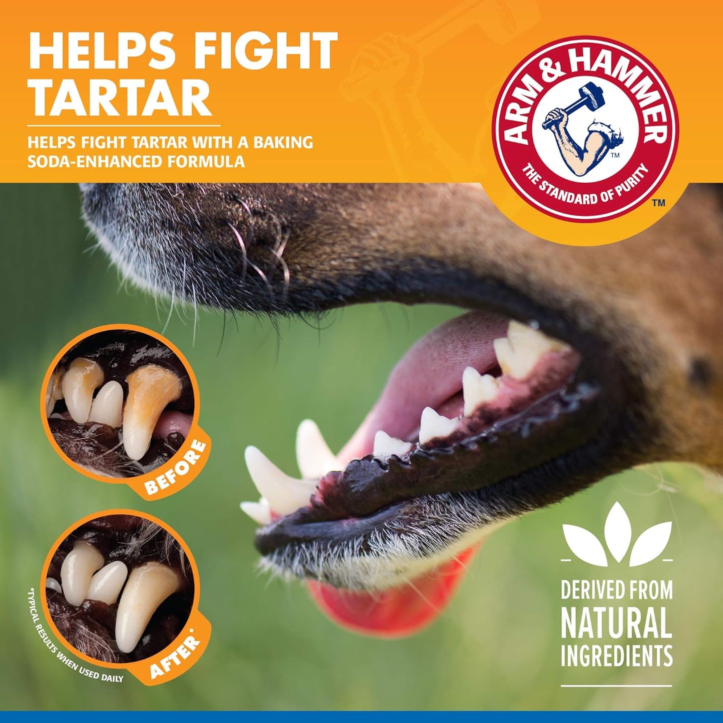 Arm & Hammer Clinical Care Dental Rinse for Adult Dogs, Odorless Flavorless No Taste Water Additive for Dog Dental Care, Helps Reduce Tartar & Freshen Breath, 16 Fl Oz Bottle