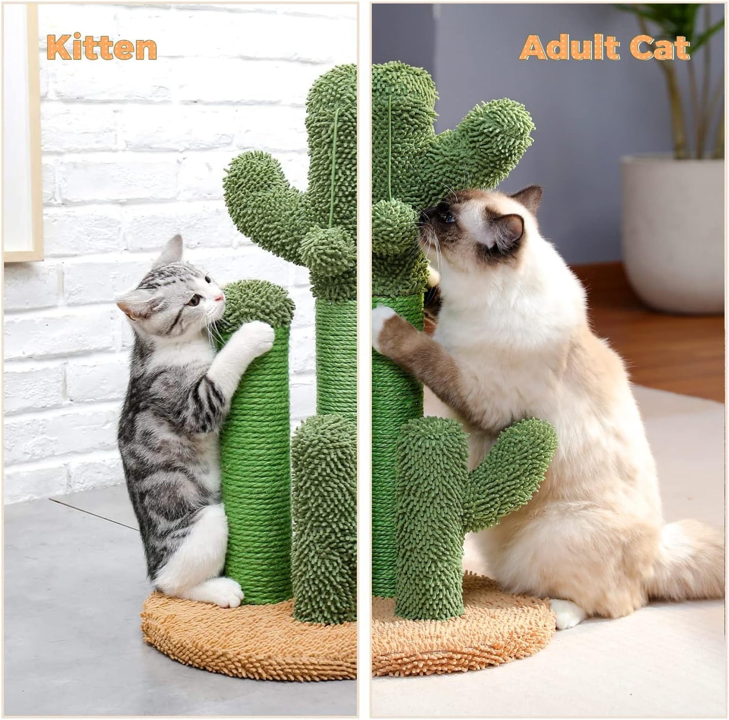 PAWZ Road Cat Scratching Post Cactus Cat Scratcher Featuring with 3 Scratching Poles and Interactive Dangling Ball -Medium 23 Inches