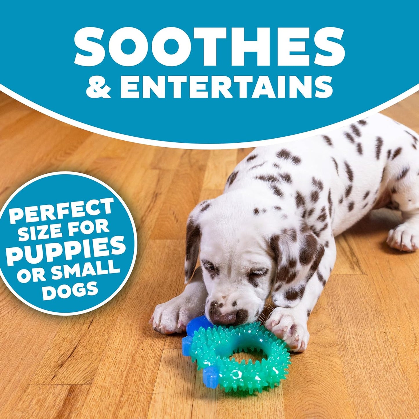 Pupstages Cutie Chewies Hedgehog Dental Dog Chew Toy — Multi-Textured, Massages Gums, Floats & Bounces for Teething Puppies & Small Dogs, 5" x 3.5" x 1"
