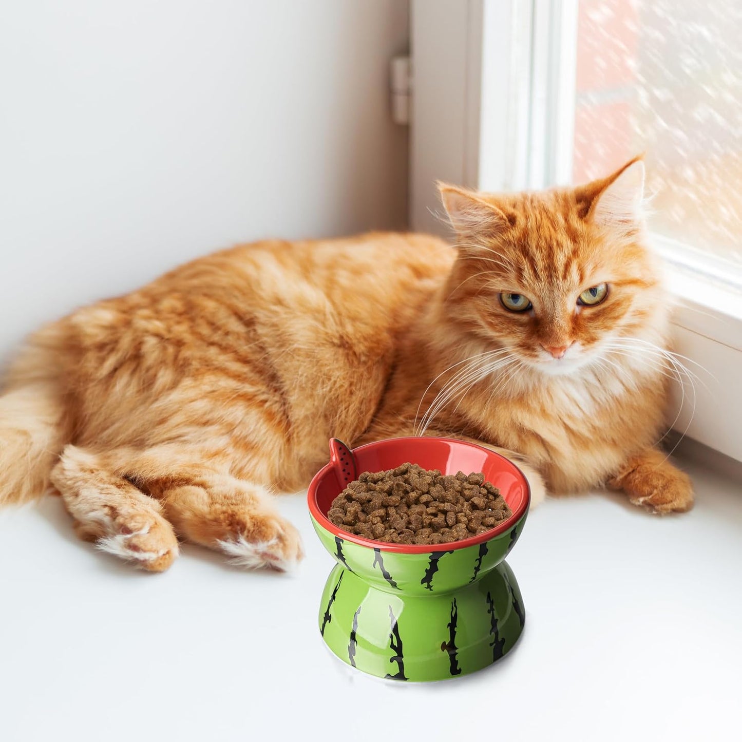 Ceramic Elevated Cat Food Bowl for Indoor Cats Tilted Food Bowls Cute Raised Cat Dish for Flat Faced Cats and Kitten (Watermelon Shaped, Medium)