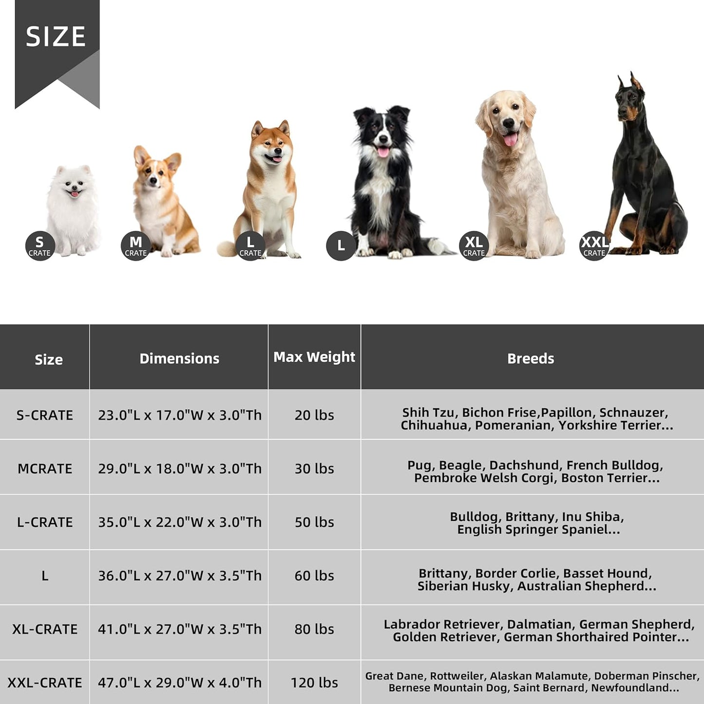 Small Dog Bed Sized Dogs, Orthopedic Flannel Pet Bed with Removable Washable Cover, Waterproof Indestructible Puppy Dog Cot Bed with Anti-Slip Bottom, Egg Crate Memory Foam Pad, 23.0"x17.0"x3.0", Grey