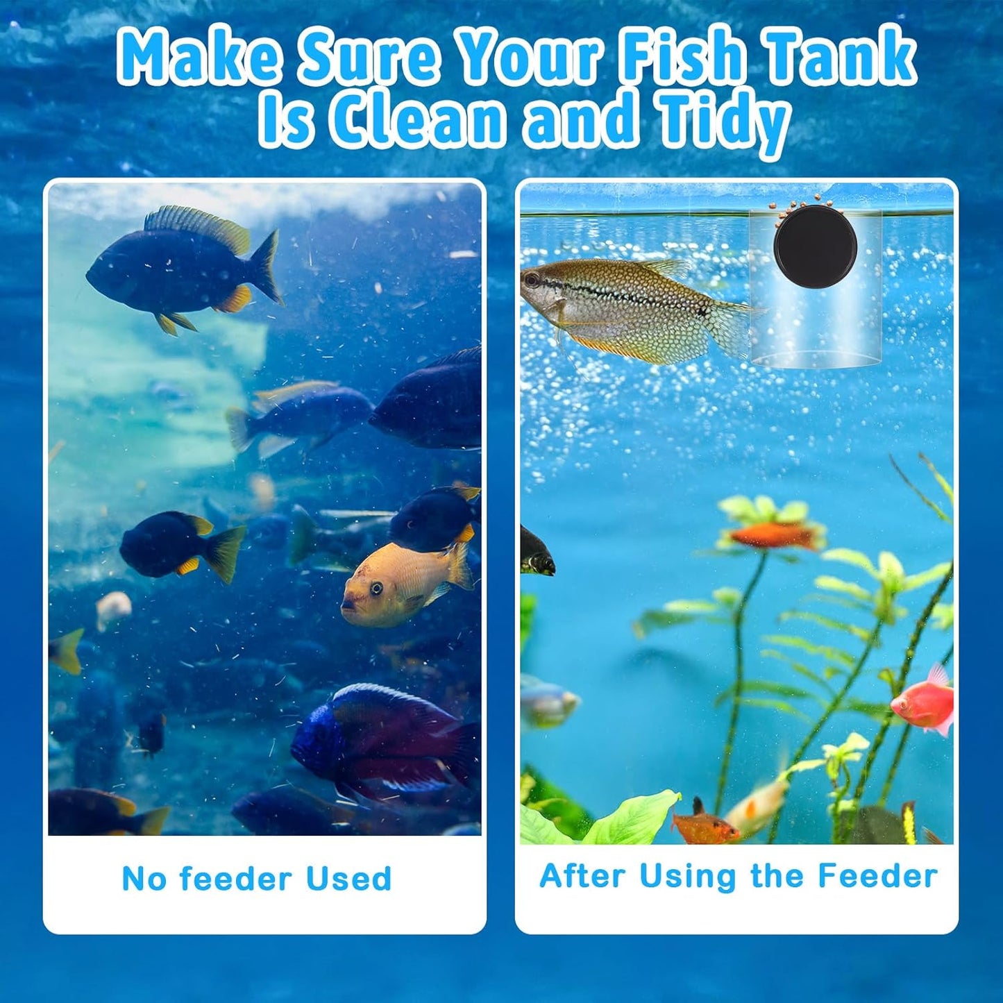 2 Pcs Magnetic Fish Tank Feeders Acrylic Fish Food Feeding Ring for Aquarium Tank Accessories, Suitable for Pellet, Frozen, Flake or Freeze Dried Food