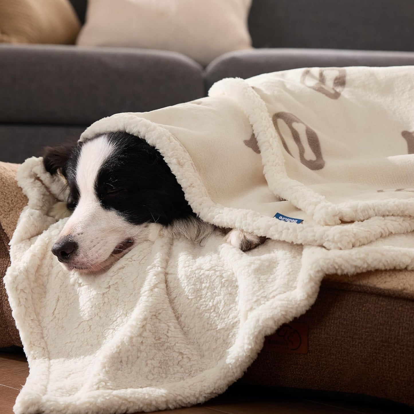 Bedsure Waterproof Blanket for Bed - Soft Print Sherpa Fleece Pet Cat Dog Blankets for Large Dogs Couch Protection, Soft Plush Reversible Furniture Protector, Twin Size, 60"x80", Beige