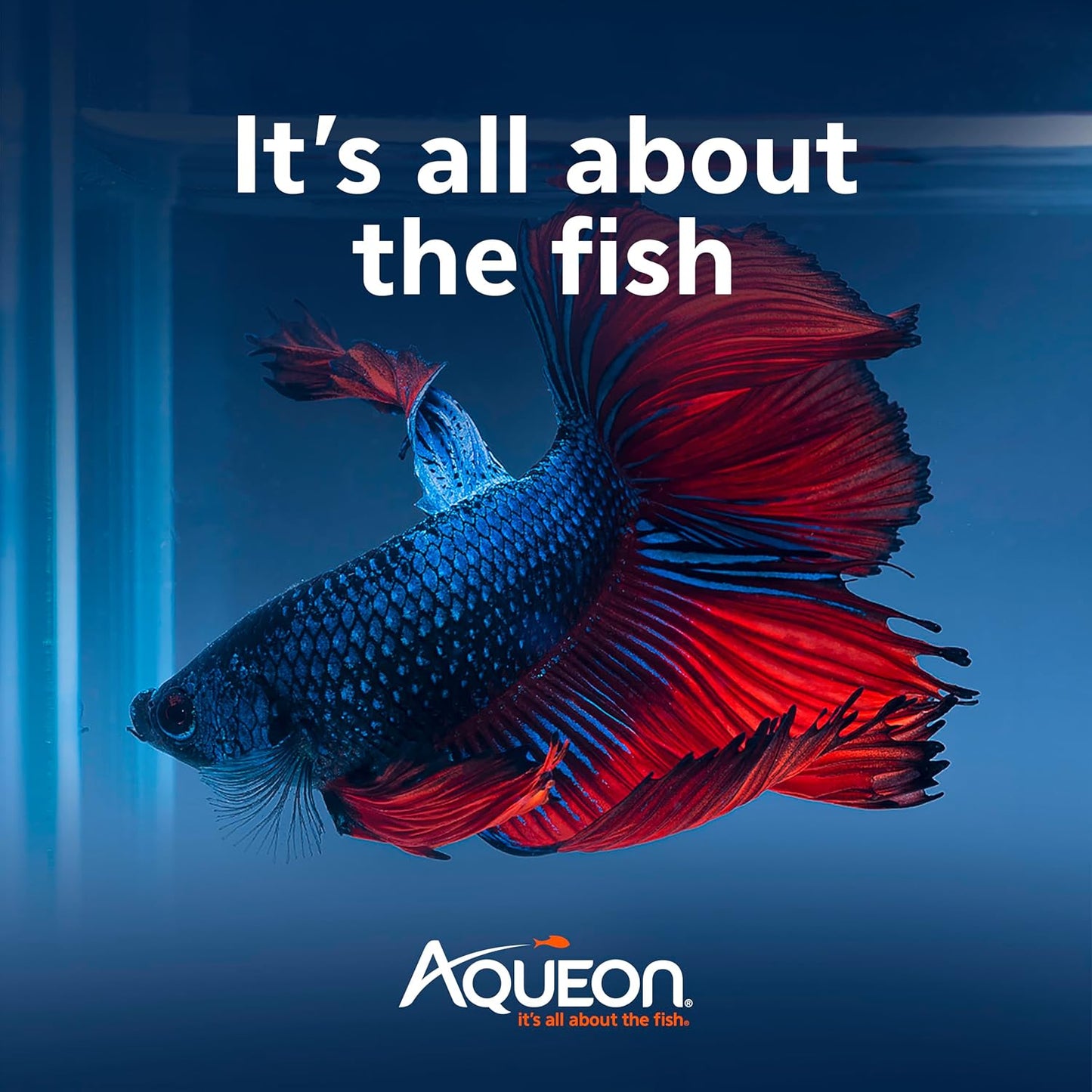 Aqueon PURE Betta Beads, Water Care for Unfiltered Aquariums, Maintains Clear Water and Helps Breakdown Organic Sludge, Blue