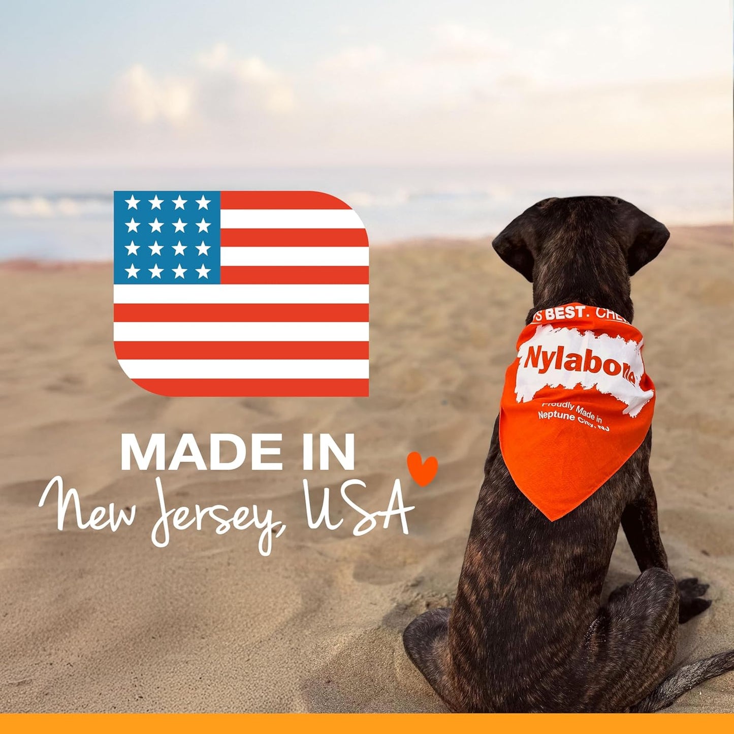 Nylabone Original Bone Power Chew Toy Value Pack for Dogs, Durable Dog Toys for Aggressive Chewers, Long Lasting Chicken, Bacon, and Peanut Butter Flavor, Small Dogs - Up to 25 Ibs, 3 Pack